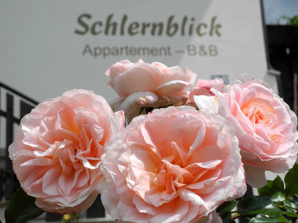 Apartmán Haus Schlernblick Nova Ponente Exteriér fotografie